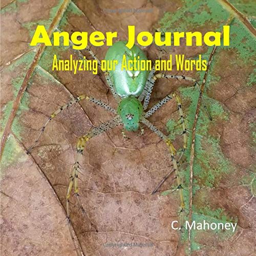 Anger Journal: Analyzing our Actions and Words