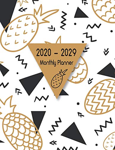2020 - 2029 Monthly Planner: 10 Year Planner Monthly Calendar Organizer Notebook Diary with Holiday for Monthly Appointment Event Planning. Agenda S